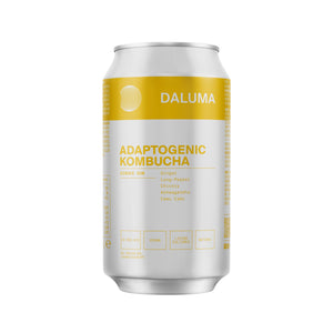 Eine silberne Dose GINGER GUN INGWER KOMBUCHA 24 PACK von DALUMA mit gelbem und grauem Etikett enthält Ingwer, langen Pfeffer, Chicorée, Ashwagandha, Camu Camu und ist zuckerarm mit probiotischen Kulturen für ein besonderes Kombucha-Erlebnis.