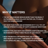 Infografik mit dem Titel WHY IT MATTERS mit vier Punkten über das Darmmikrobiom, seine Auswirkungen auf die Gesundheit, die Grenzen der meisten Nahrungsergänzungsmittel und wie Gewohnheiten den guten Bakterien schaden können - mit dem SYM-BIOTIC 23/100 BILLION DARMBAKTERIEN DOUBLE von DALUMA.
